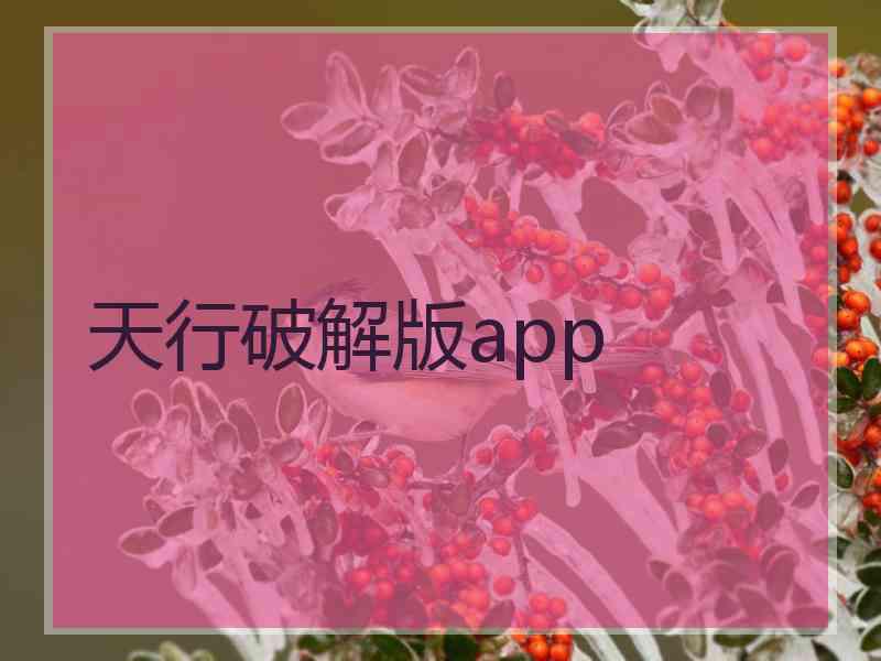 天行破解版app