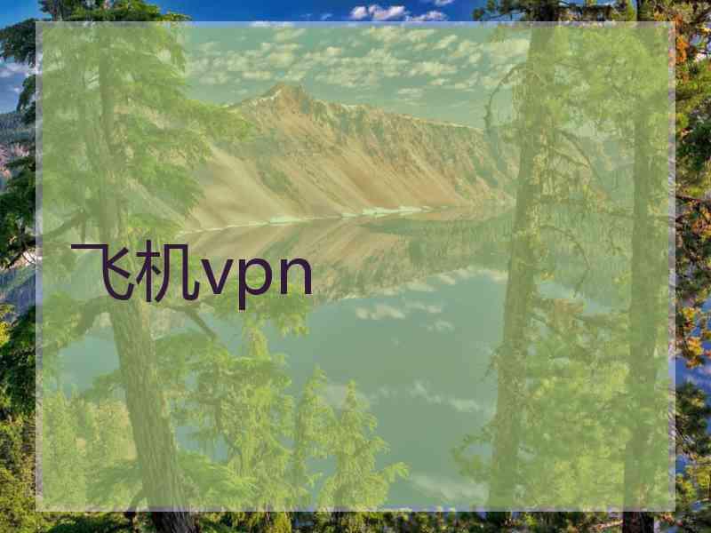 飞机vpn
