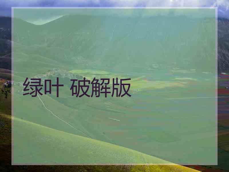 绿叶 破解版