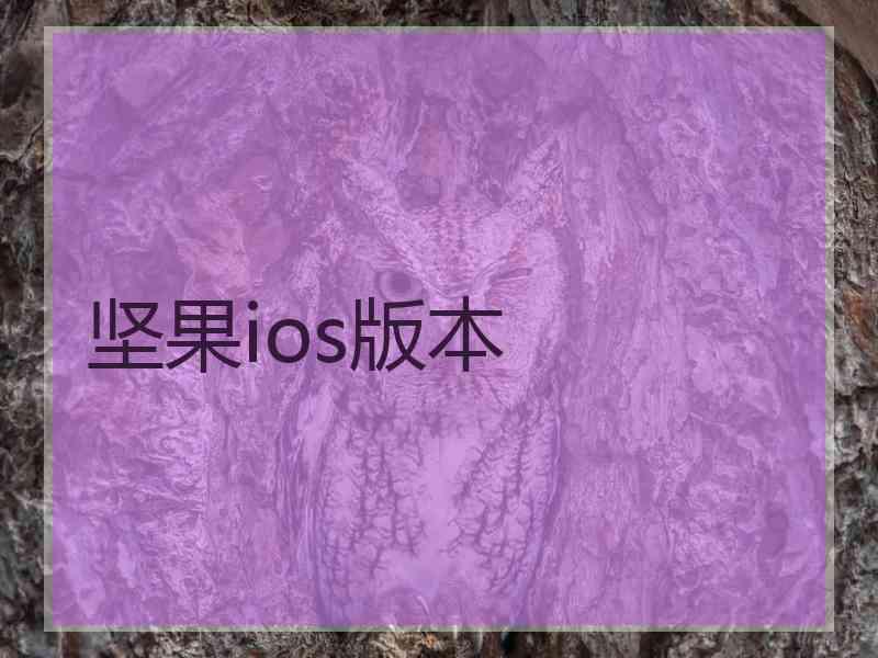 坚果ios版本