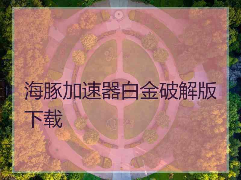 海豚加速器白金破解版下载