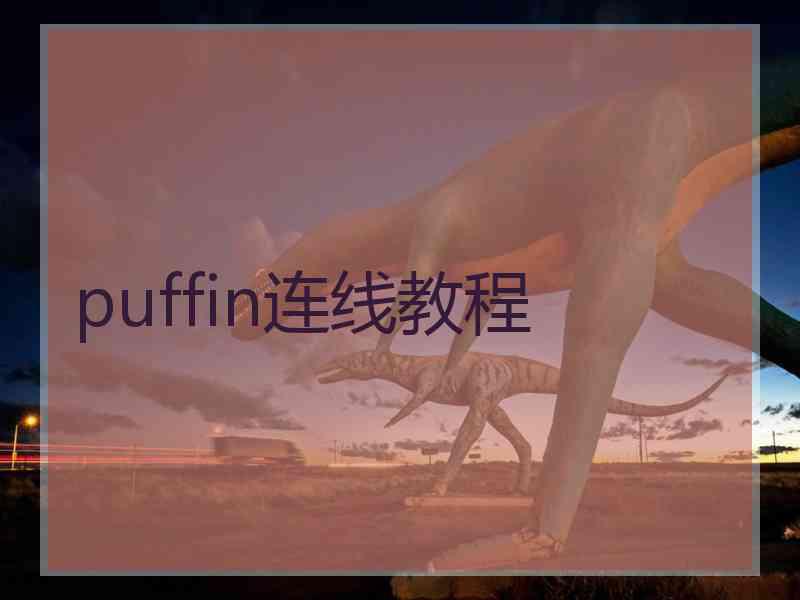 puffin连线教程