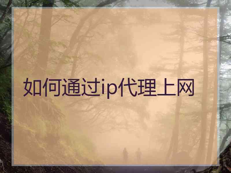 如何通过ip代理上网