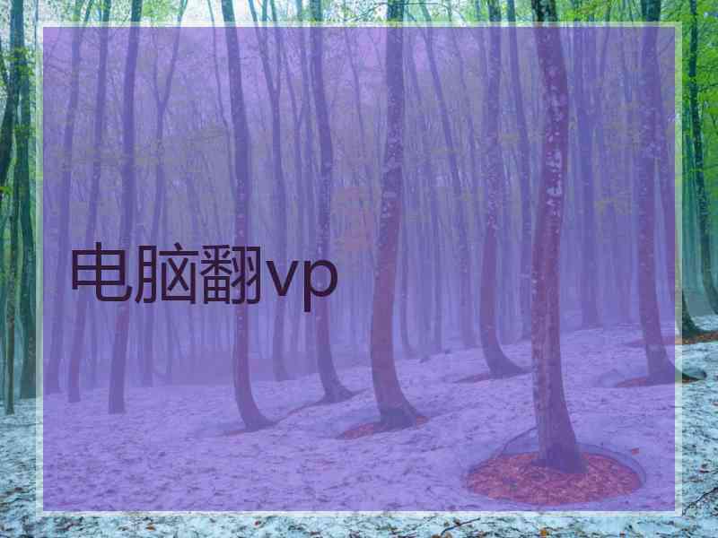 电脑翻vp
