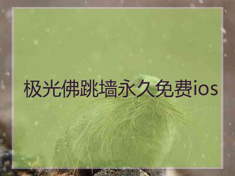 极光佛跳墙永久免费ios