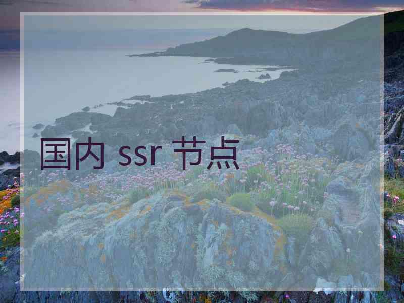 国内 ssr 节点