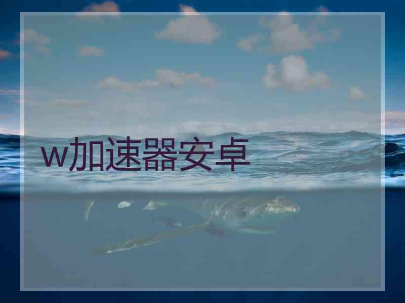 w加速器安卓