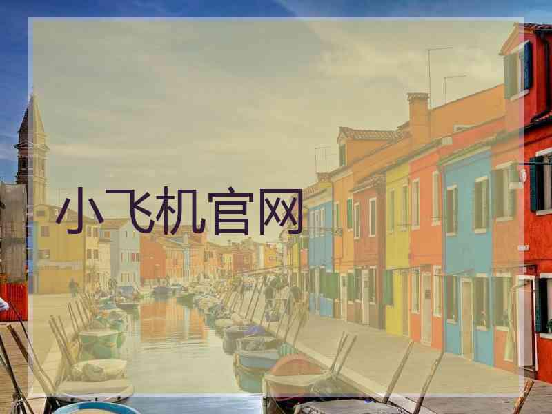 小飞机官网