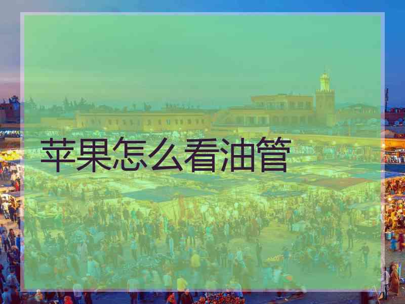 苹果怎么看油管