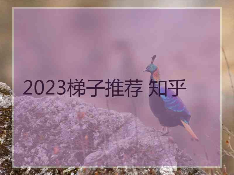2023梯子推荐 知乎