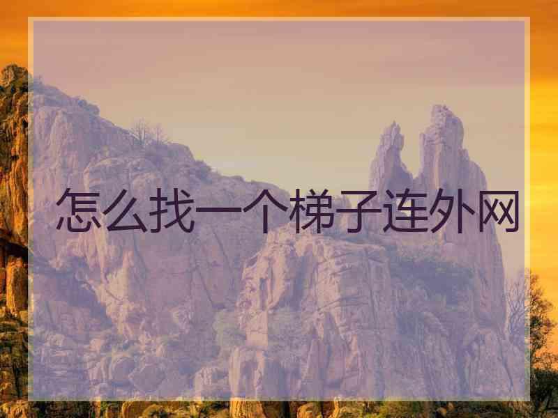 怎么找一个梯子连外网
