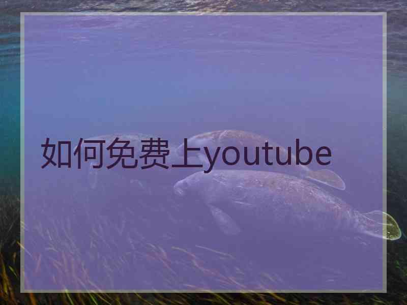 如何免费上youtube