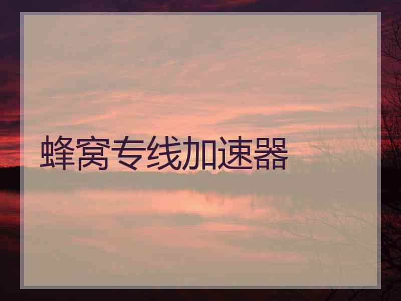 蜂窝专线加速器