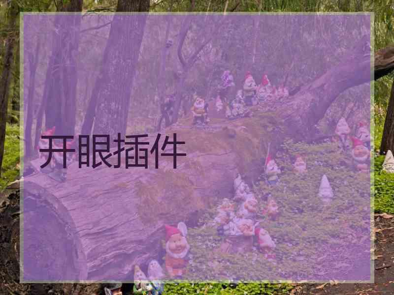 开眼插件
