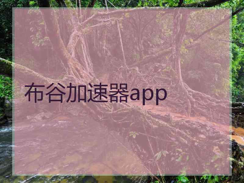布谷加速器app