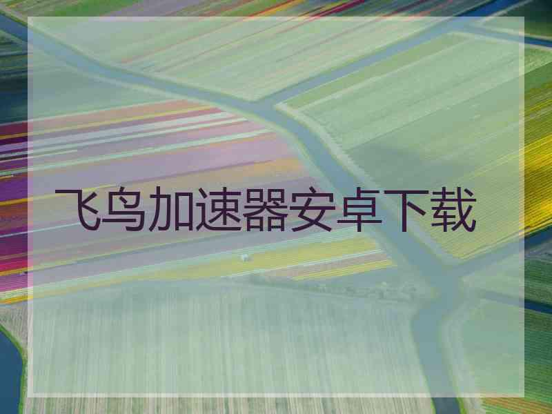 飞鸟加速器安卓下载