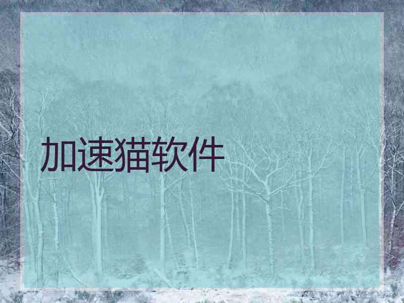 加速猫软件