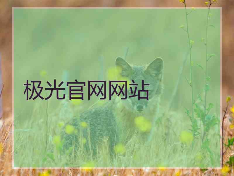 极光官网网站