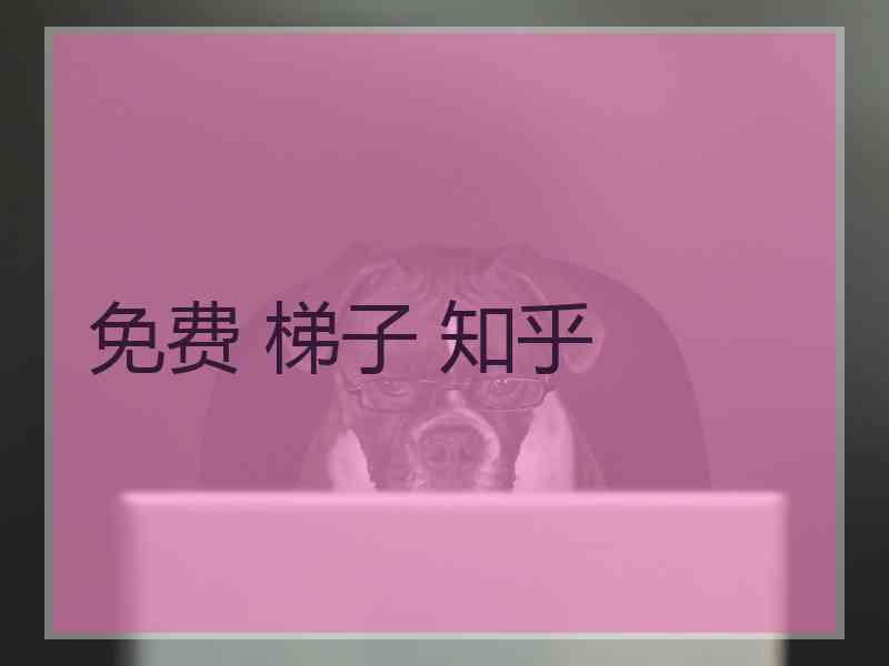 免费 梯子 知乎