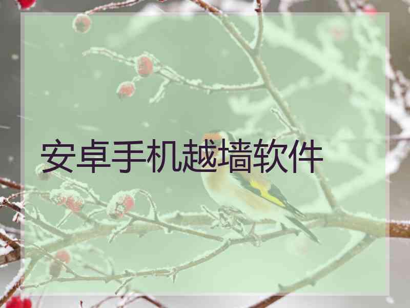 安卓手机越墙软件