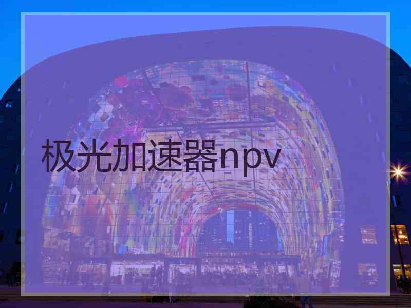极光加速器npv