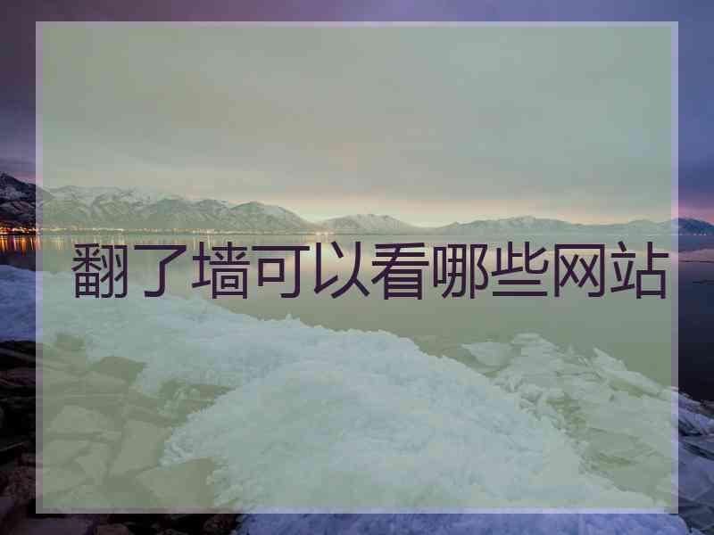 翻了墙可以看哪些网站