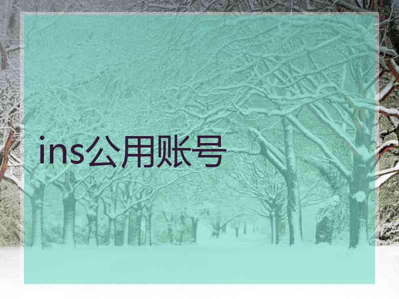 ins公用账号