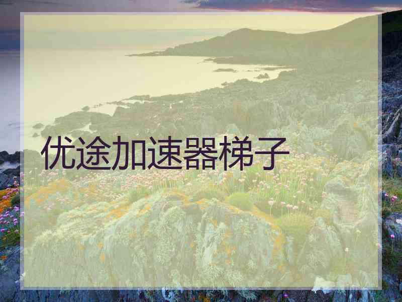 优途加速器梯子