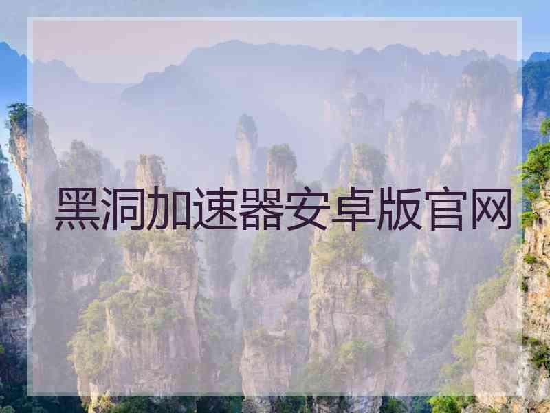 黑洞加速器安卓版官网