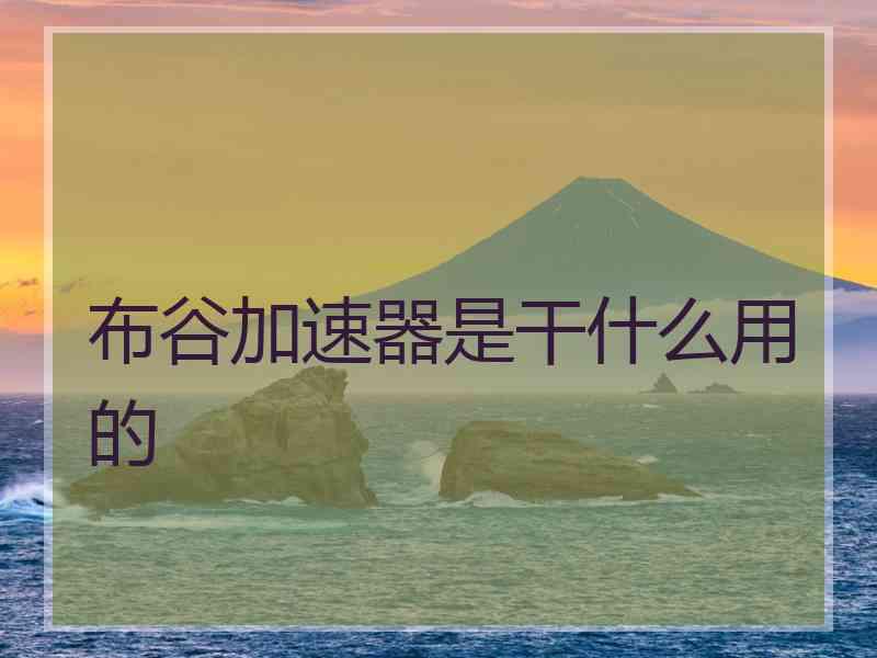 布谷加速器是干什么用的