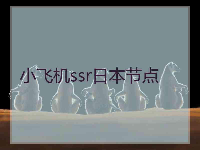 小飞机ssr日本节点