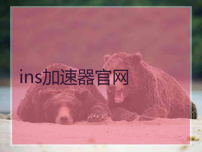 ins加速器官网