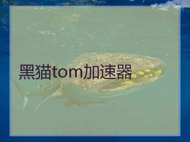 黑猫tom加速器