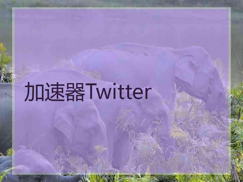 加速器Twitter