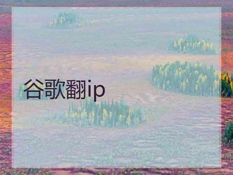 谷歌翻ip