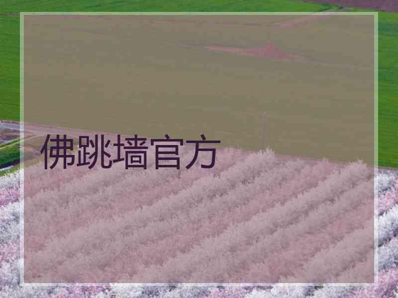 佛跳墙官方