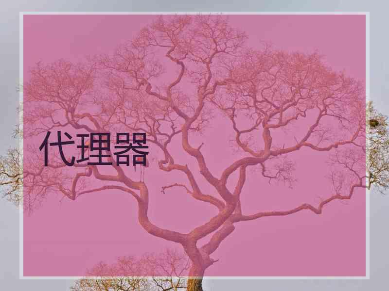 代理器