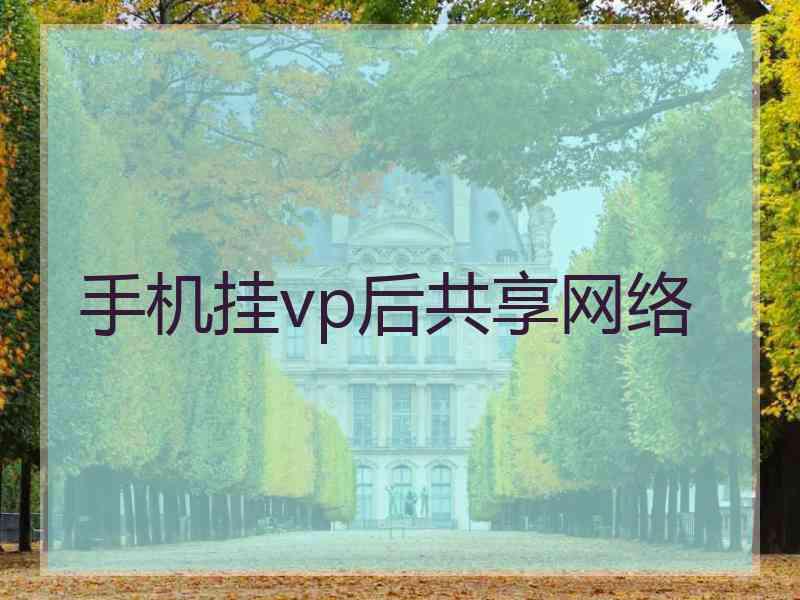 手机挂vp后共享网络