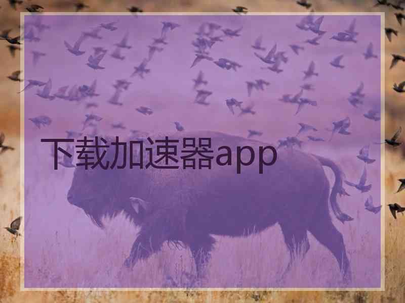 下载加速器app