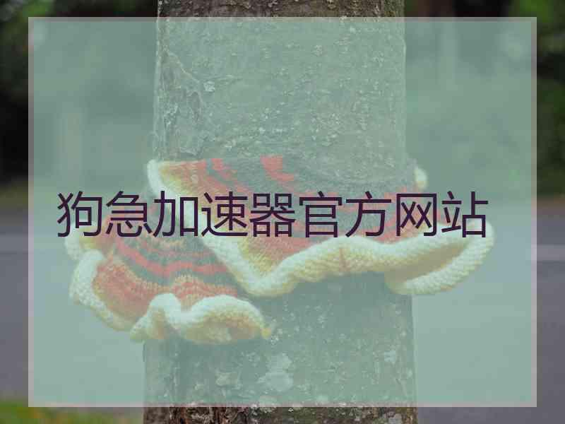 狗急加速器官方网站