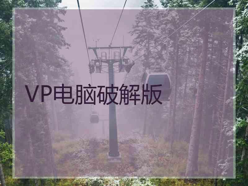 VP电脑破解版