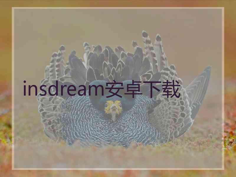 insdream安卓下载