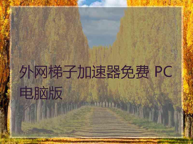 外网梯子加速器免费 PC电脑版