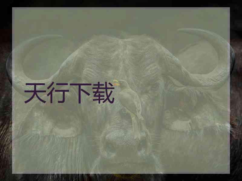 天行下载