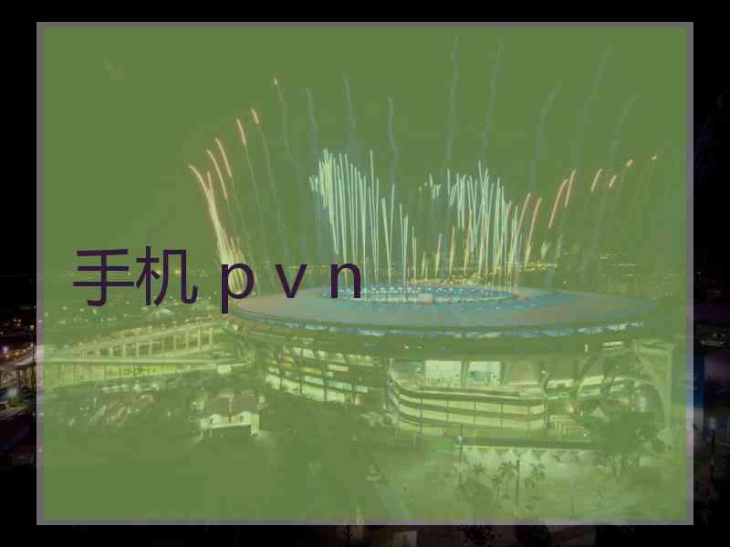 手机 p v n