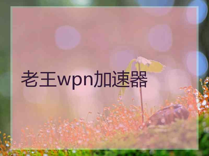老王wpn加速器