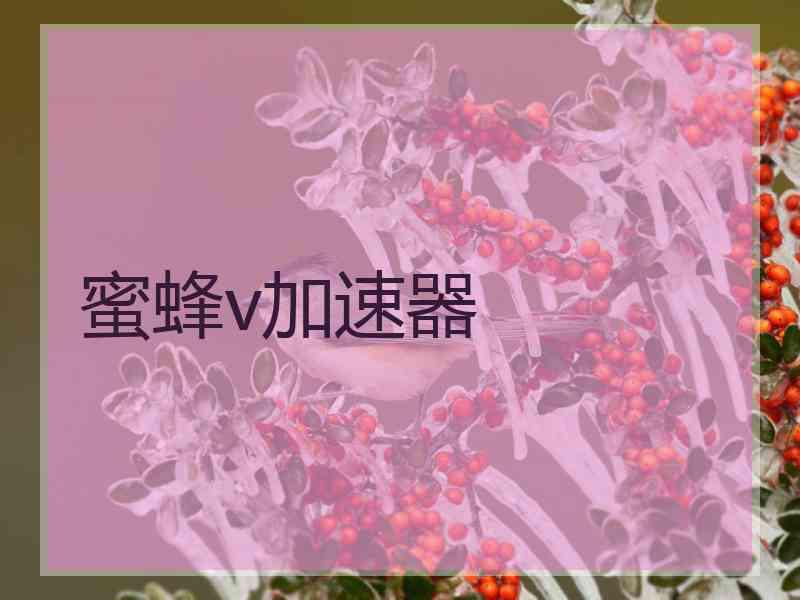 蜜蜂v加速器