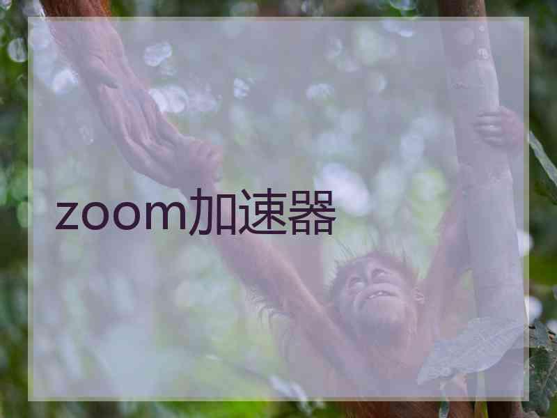 zoom加速器