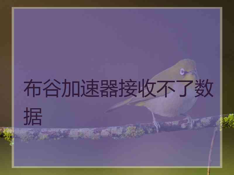 布谷加速器接收不了数据