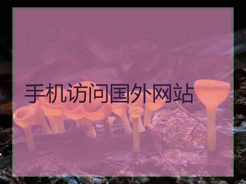 手机访问国外网站